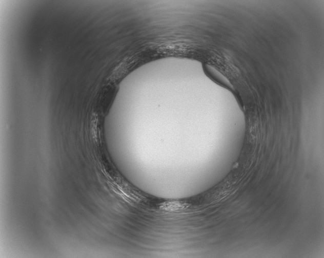 X0000068820231200605050950