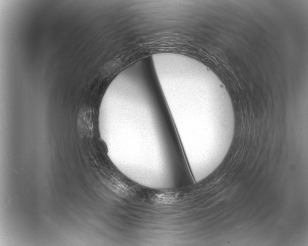 X0000068820232200605050950