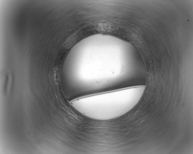 X0000068820233200605050950