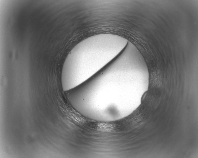 X0000068820234200605050950