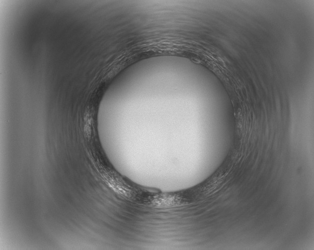 X0000068820235200605050950