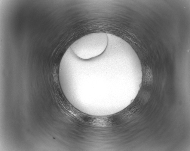 X0000068820236200605050950