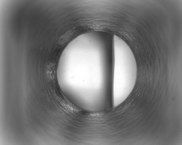 X0000068820237200605050950