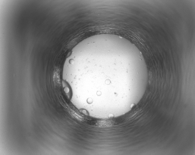 X0000068820238200605050950