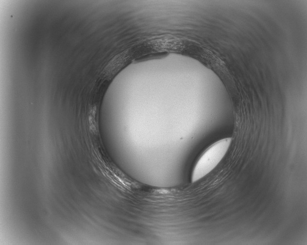 X0000068820239200605050950