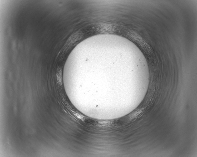 X0000068820240200605050950