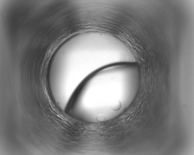 X0000068820241200605050949