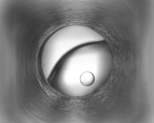 X0000068820242200605050949