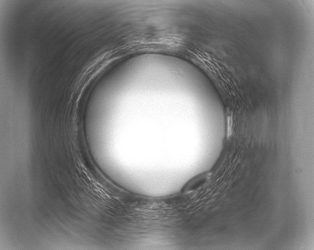 X0000068820243200605050949