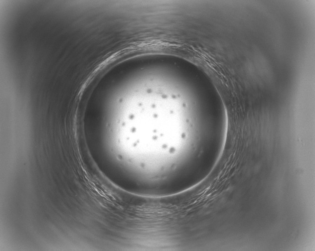 X0000068820244200605050949