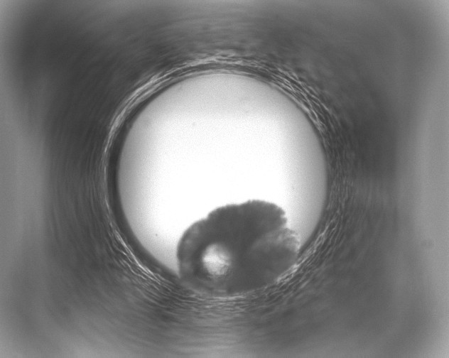 X0000068820245200605050949