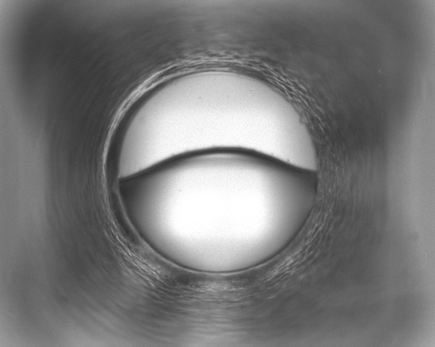 X0000068820246200605050949