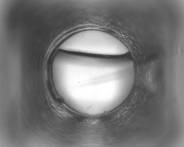 X0000068820247200605050949