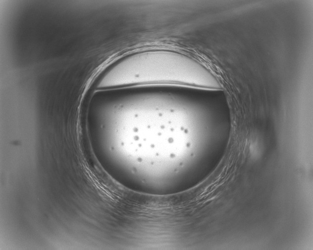 X0000068820248200605050949