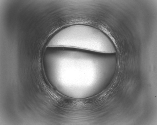 X0000068820249200605050949