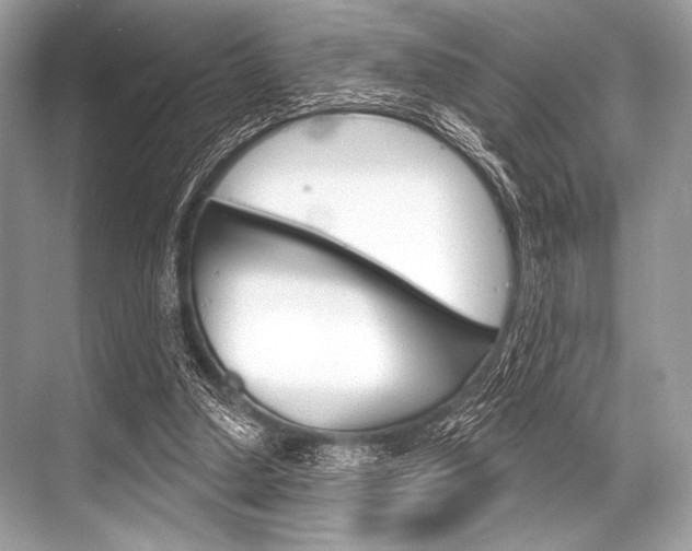 X0000068820250200605050949