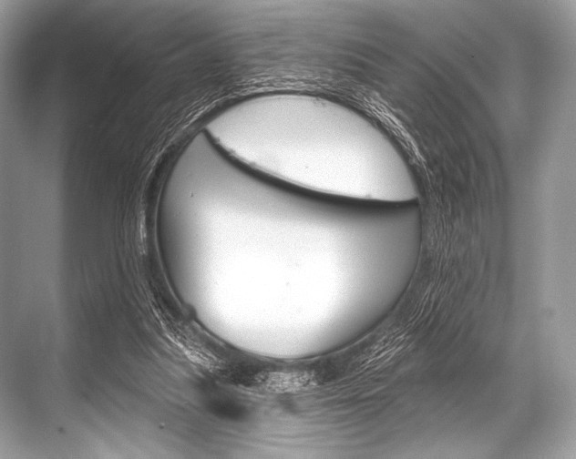 X0000068820251200605050950