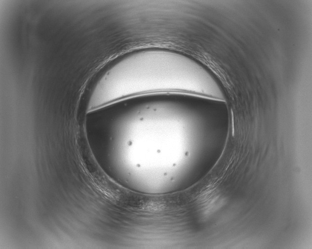 X0000068820252200605050950