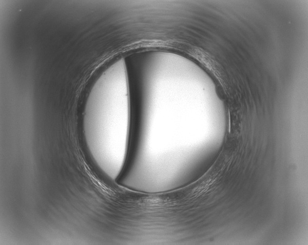 X0000068820253200605050950