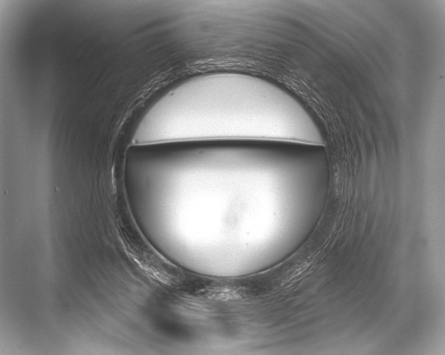 X0000068820254200605050950