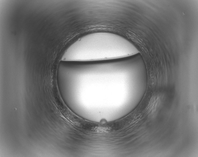 X0000068820255200605050950