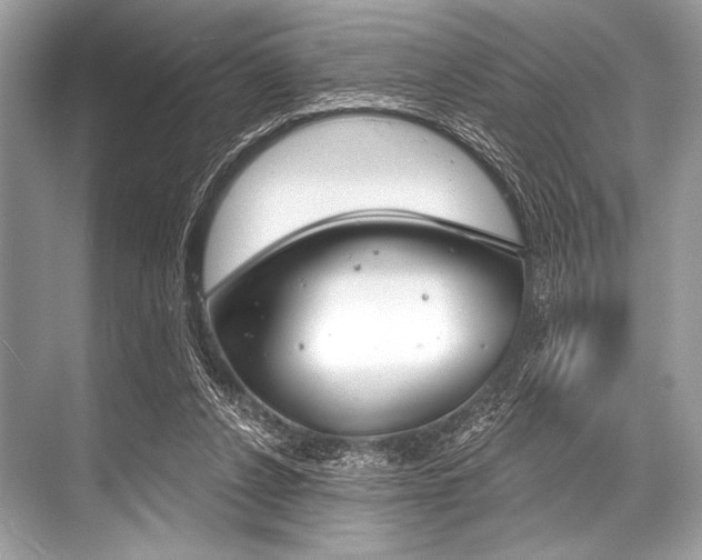 X0000068820256200605050950