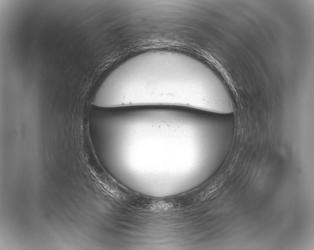 X0000068820257200605050950