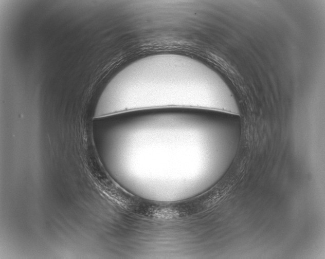 X0000068820258200605050950