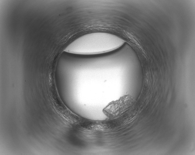 X0000068820259200605050950