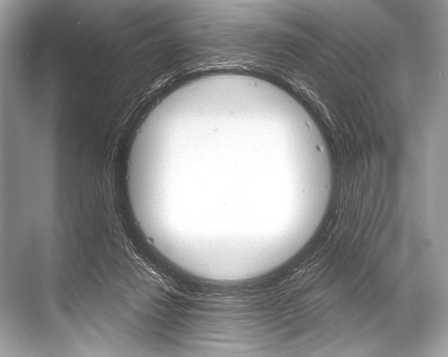 X0000068820260200605050950