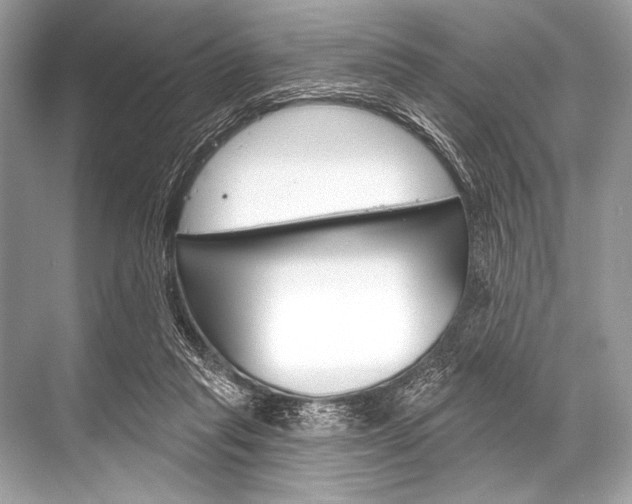 X0000068820261200605050950