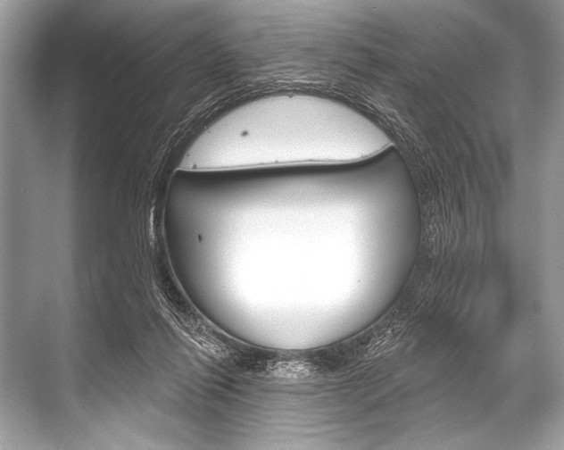 X0000068820262200605050950