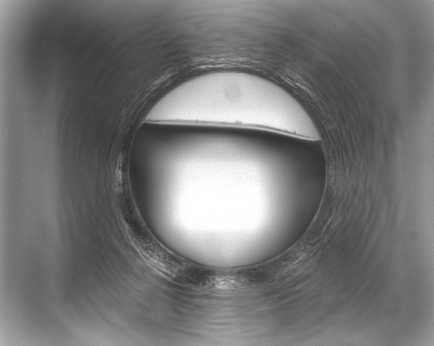 X0000068820264200605050950