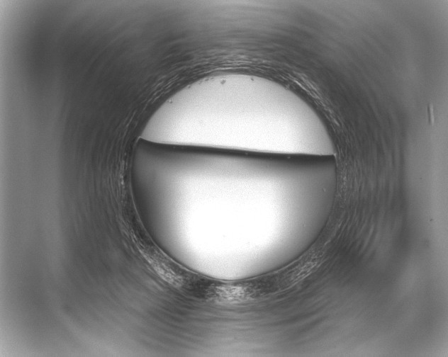 X0000068820265200605050950