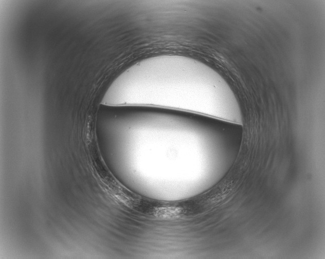 X0000068820266200605050950