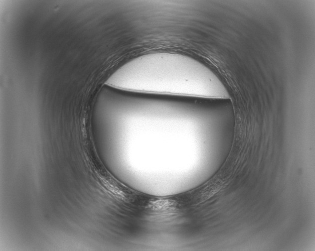 X0000068820269200605050950