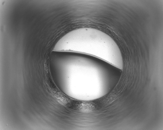 X0000068820270200605050950