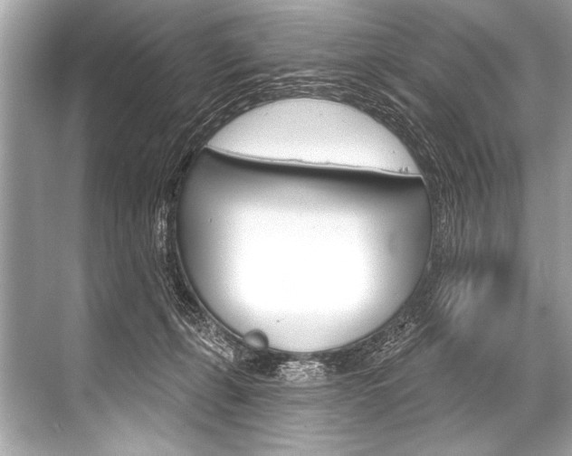 X0000068820271200605050950