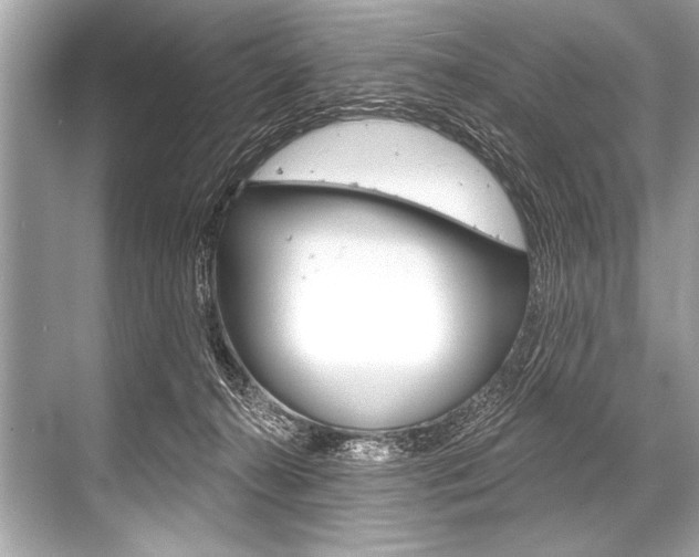 X0000068820272200605050950