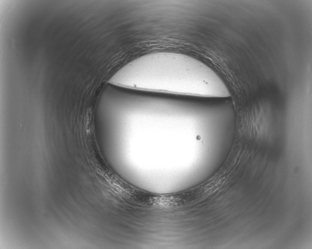 X0000068820273200605050950