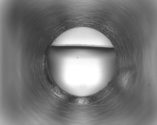 X0000068820275200605050950