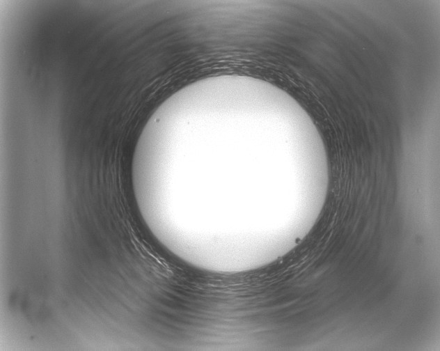 X0000068820276200605050950