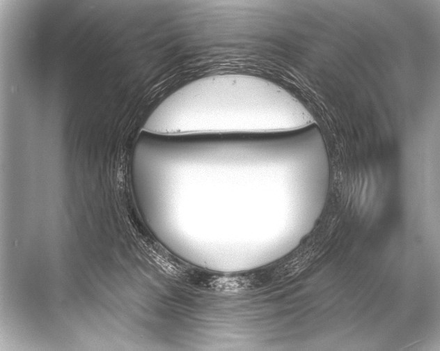 X0000068820277200605050950