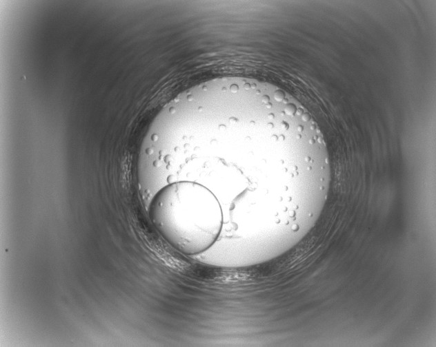 X0000068820278200605050950