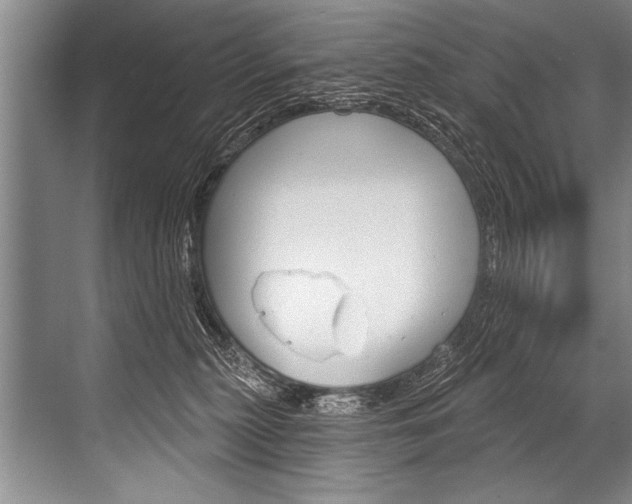 X0000068820279200605050950