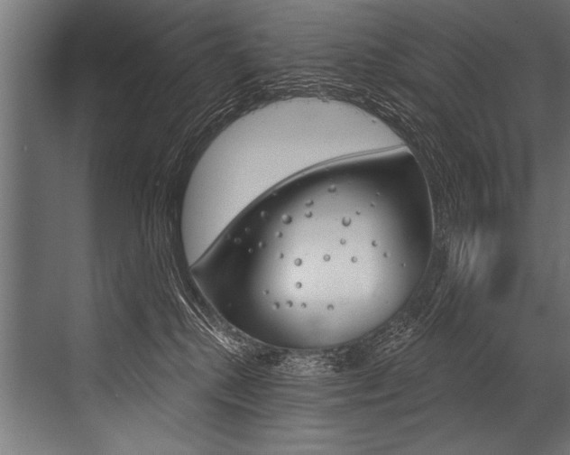 X0000068820280200605050950