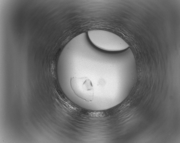 X0000068820281200605050950