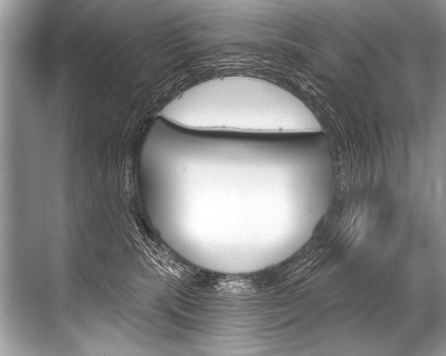 X0000068820283200605050950