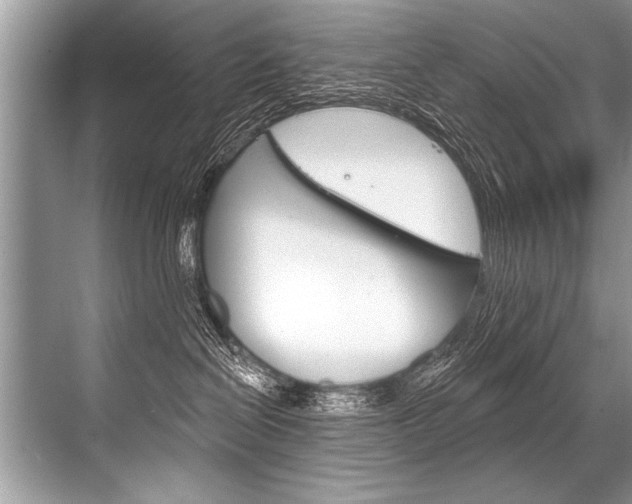 X0000068820286200605050950