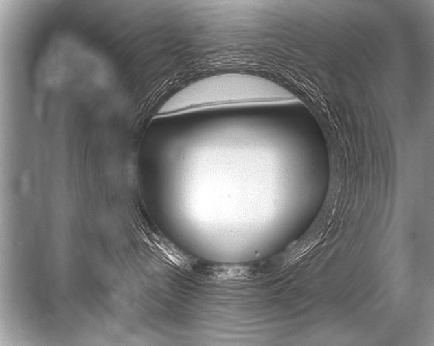 X0000068820288200605050950